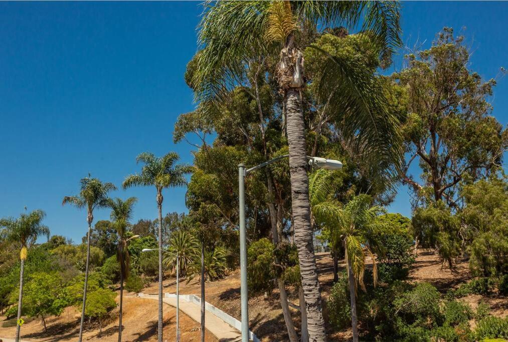 Cozy Studio Next To San Diego Dt And Balboa Park Hotel Exterior foto